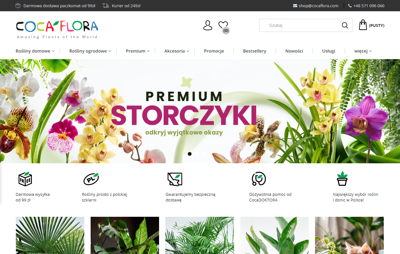 Zakupy roślin przez internet - jak bezpiecznie zamawiać?